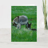 Carte de scène de la nature (Devant)