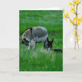 Carte de scène de la nature (Fleur jaune)