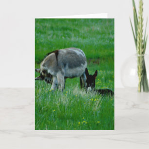 Carte de scène de la nature