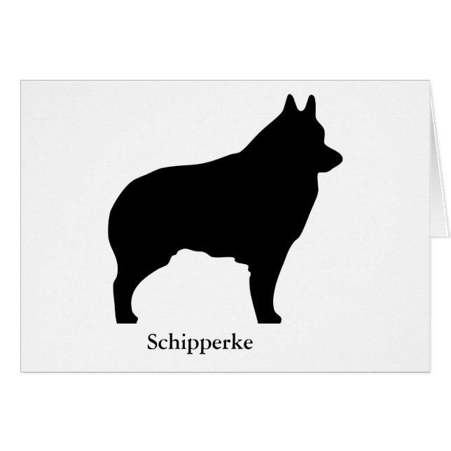 Carte de Schipperke (Devant horizontal)