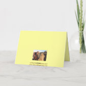 Carte de selle bien glissée - Ouest (Dos)