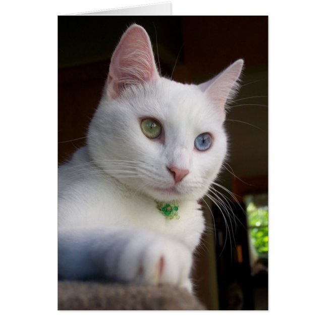 Carte de sérénité (Devant)