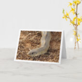 Carte de serpent d'échelle (Fleur jaune)