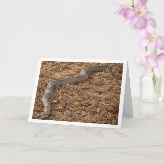 Carte de serpent d'échelle (Orchidée)