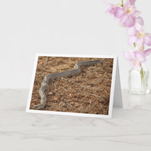 Carte de serpent d'échelle