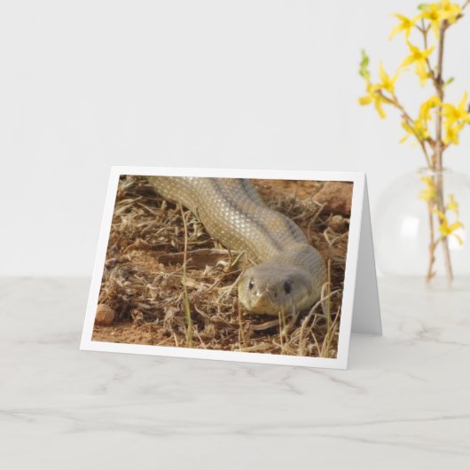 Carte de serpent d'échelle (Fleur jaune)