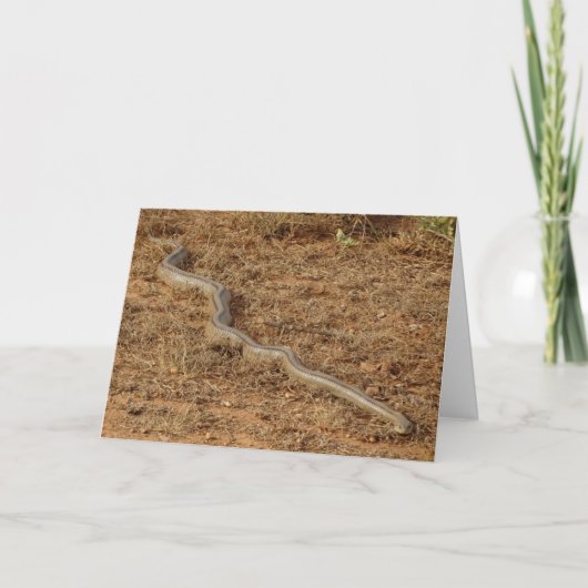 Carte de serpent d'échelle (Devant)