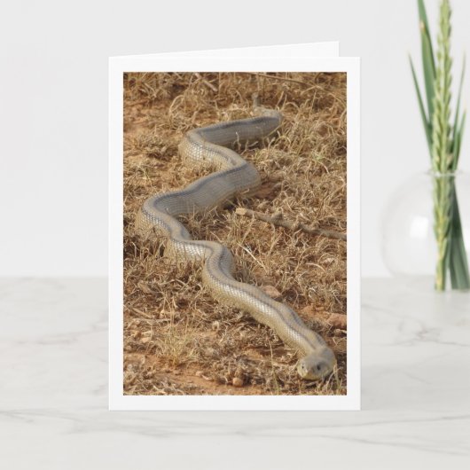 Carte de serpent d'échelle (Devant)