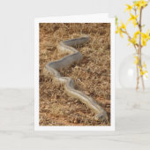 Carte de serpent d'échelle (Fleur jaune)