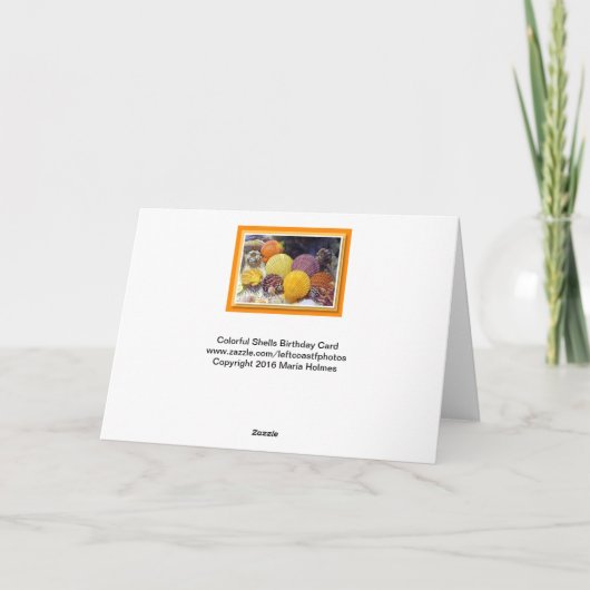 Carte de Shell (Dos)