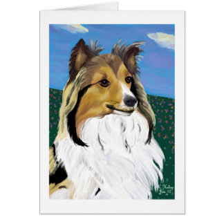 Carte de Sheltie