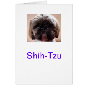 Carte de Shih-Tzu