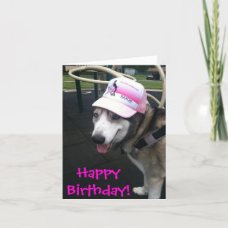 Carte de Siberian Husky Birthday
