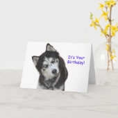 Carte de Siberian Husky Birthday (Fleur jaune)
