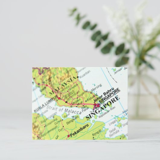 Carte de Singapour (Debout devant)