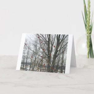 Carte de solstice