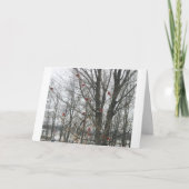 Carte de solstice (Devant)