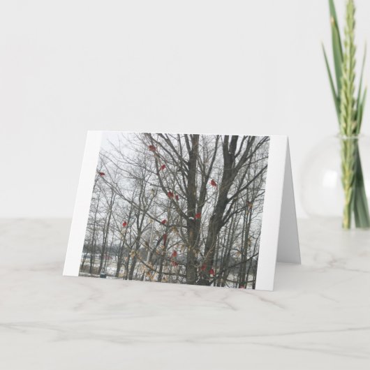 Carte de solstice (Devant)