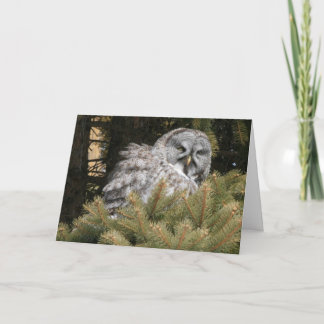 Carte de solstice avec le hibou de grand gris