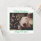 Carte de sourire Bull Terrier Christmas Tree (Devant/Arrière en situation)