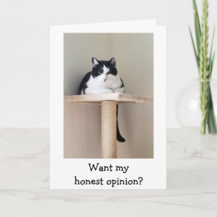 Carte de soutien pour le cancer de chat Just For L