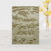 Carte de souvenirs Visions de plage (Fleur jaune)