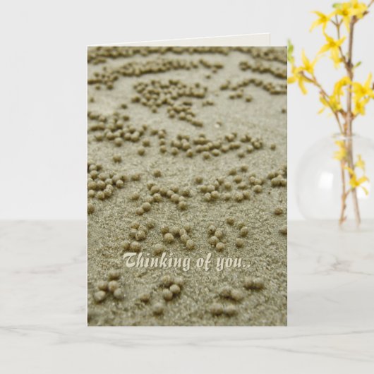 Carte de souvenirs Visions de plage (Fleur jaune)