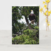 Carte de stationnement (Fleur jaune)