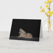 Carte de succès de la chienne triste (Fleur jaune)