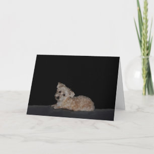 Carte de succès de la chienne triste
