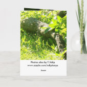 Carte de Sympath pour votre perte (Dos)