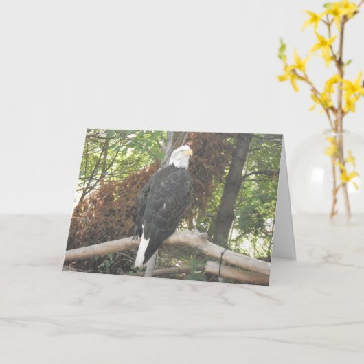 Carte de sympathie « Aigle royal » (Fleur jaune)