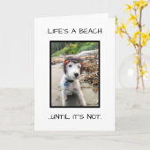 CARTE DE SYMPATHIE AMUSANTE (Fleur jaune)