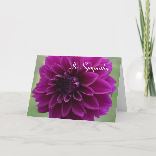 Carte de sympathie avec gros plan de dahlia violet (Devant)