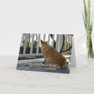 Carte de sympathie canine