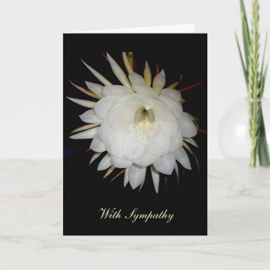 Carte de Sympathie Cereus Night-Blooming (Devant)