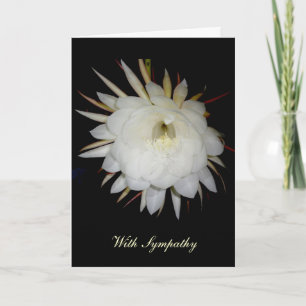 Carte de Sympathie Cereus Night-Blooming
