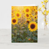 CARTE DE SYMPATHIE CHAMP DE TOURNESOLS (Fleur jaune)