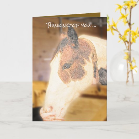 Carte de sympathie (cheval) (Fleur jaune)