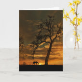 Carte de sympathie Cheval et Coucher de soleil équ (Fleur jaune)