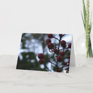 Carte de Sympathie chrétienne Psalm Bible Verse