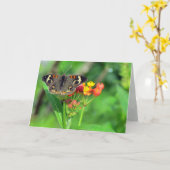 Carte de sympathie (clé commune 2470) (Fleur jaune)