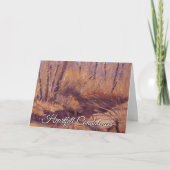 Carte de sympathie commémorative de bénédiction ir (Devant)