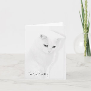 Carte de sympathie de chat