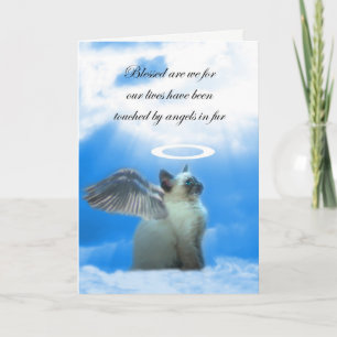 Carte de sympathie de chat, Angel Kitty, Perte de