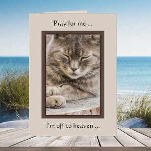 Carte de Sympathie de chat photo personnalisée