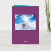 Carte de sympathie de chats (Dos)