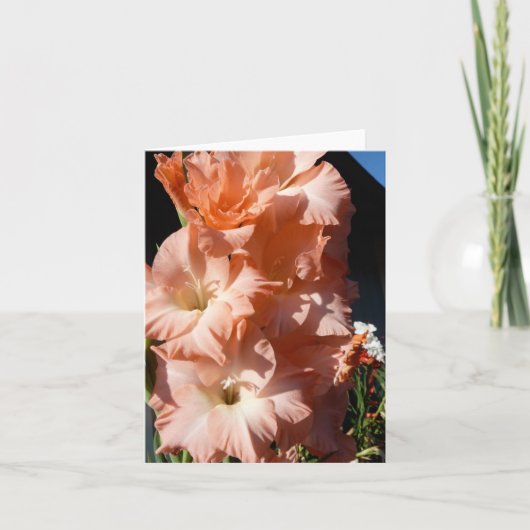 Carte de sympathie de Gladiola de Carol (Devant)