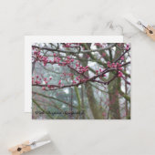 Carte de Sympathie de la Bible de l'arbre de fond  (Devant/Arrière en situation)