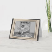 Carte de sympathie de l'angle de chat (Devant)